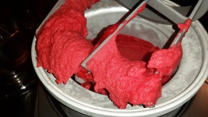 Raspberry Sorbet