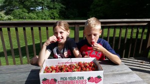 Strawberrypicking 6-14