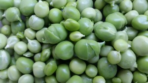 Peas fresh from the garden 