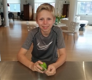 Peeling the tomatillos